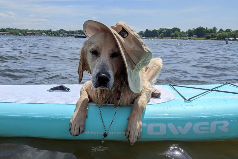 Blow Up Paddle Board Durability