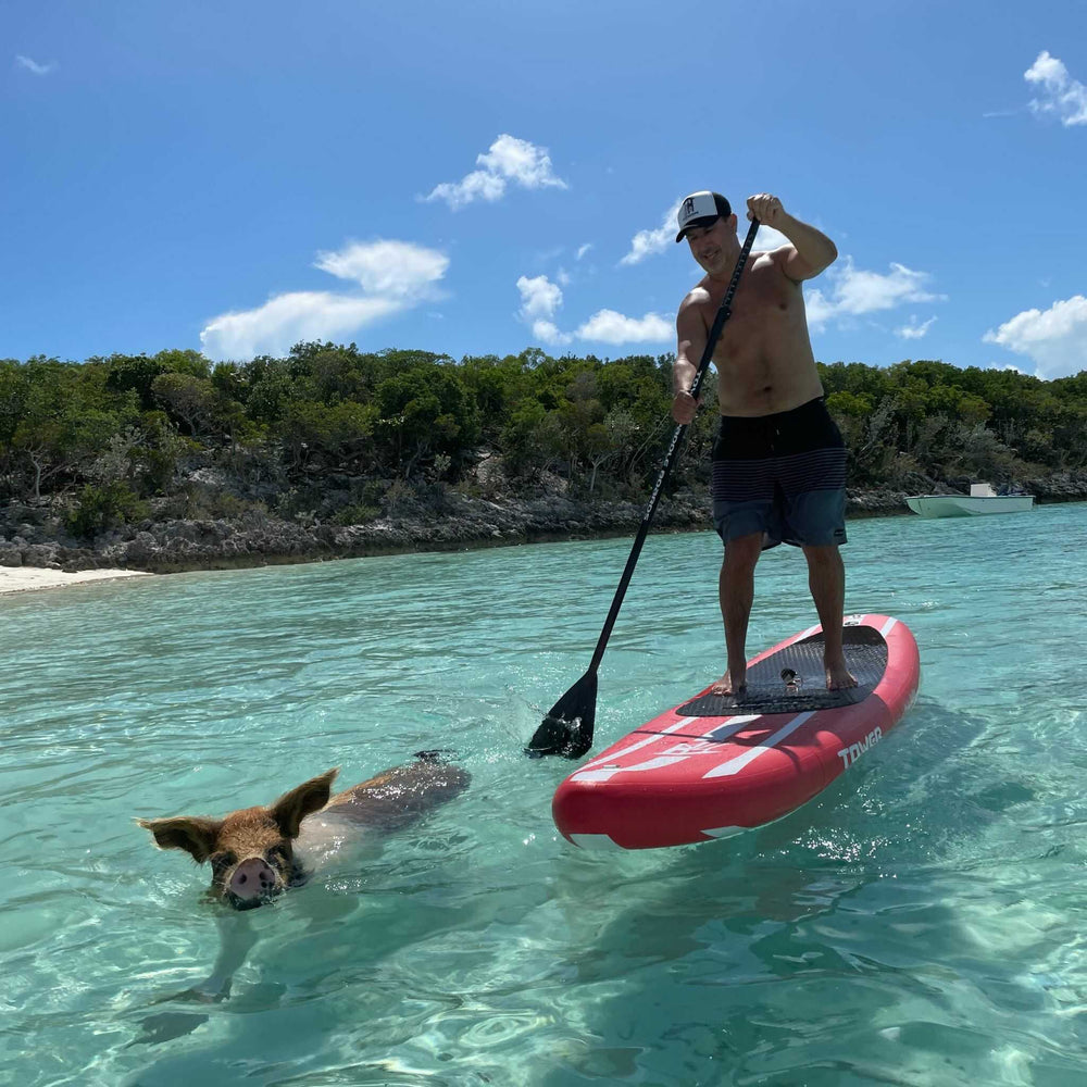 Man riding a Tower paddle board while wearing a Tower trucker hat and a pig swims next to him