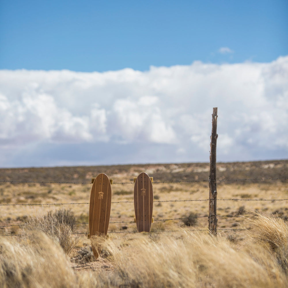 Tower cruiser skateboards hanging on a barbwire fence in the desert